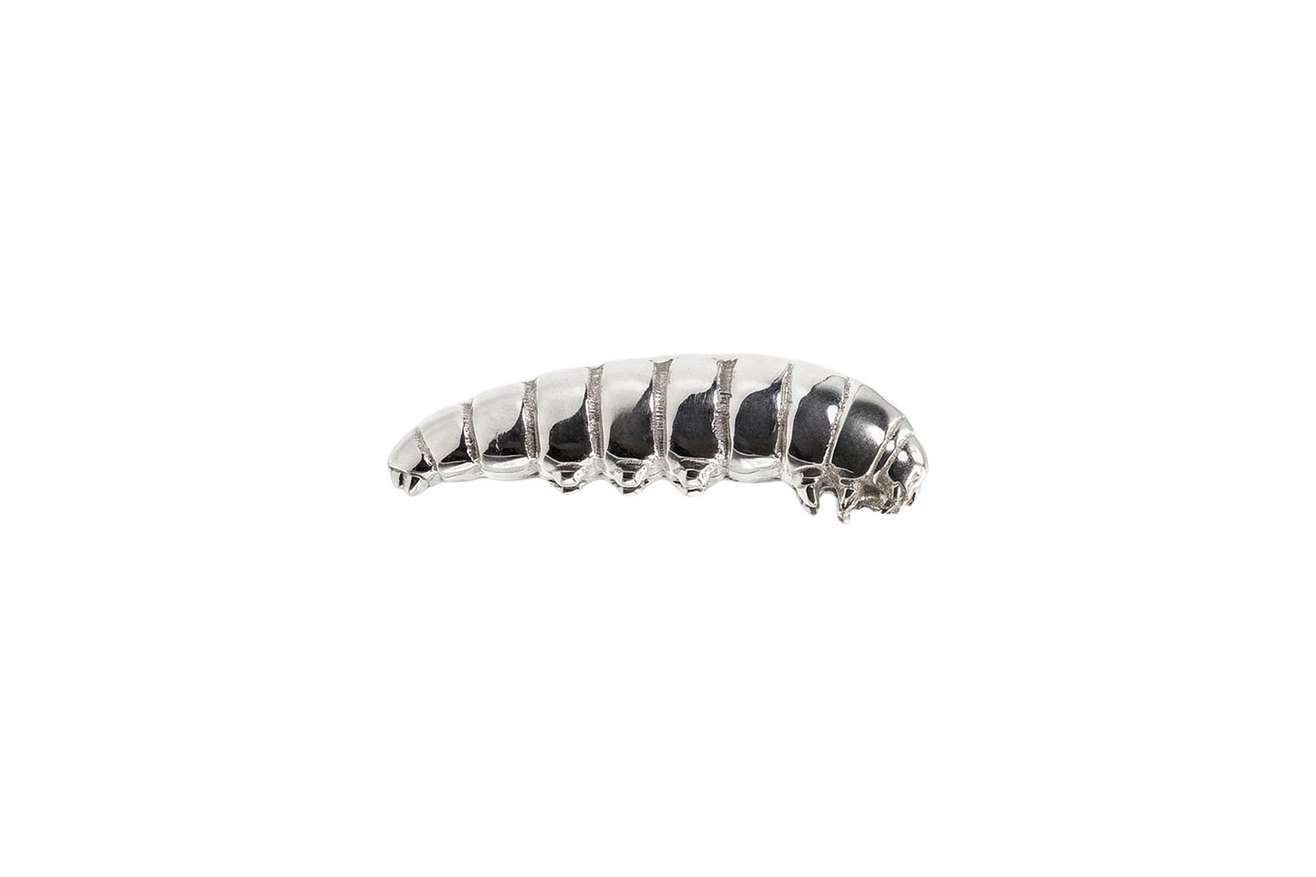 Chrysalis